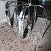 Wacky Cake Ingredients