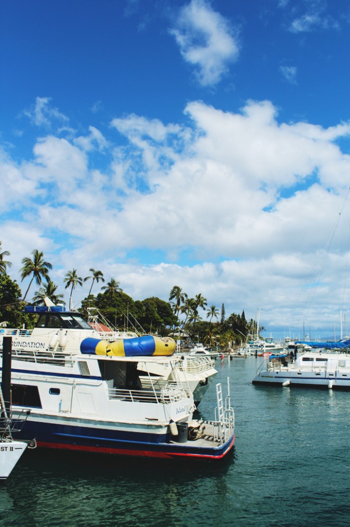 Lahaina harbor