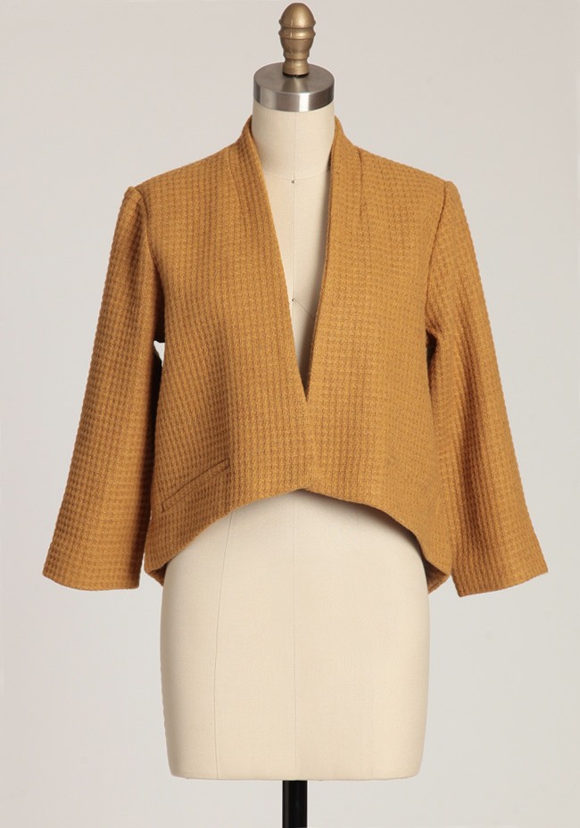 Suki blazer by BB Dakota